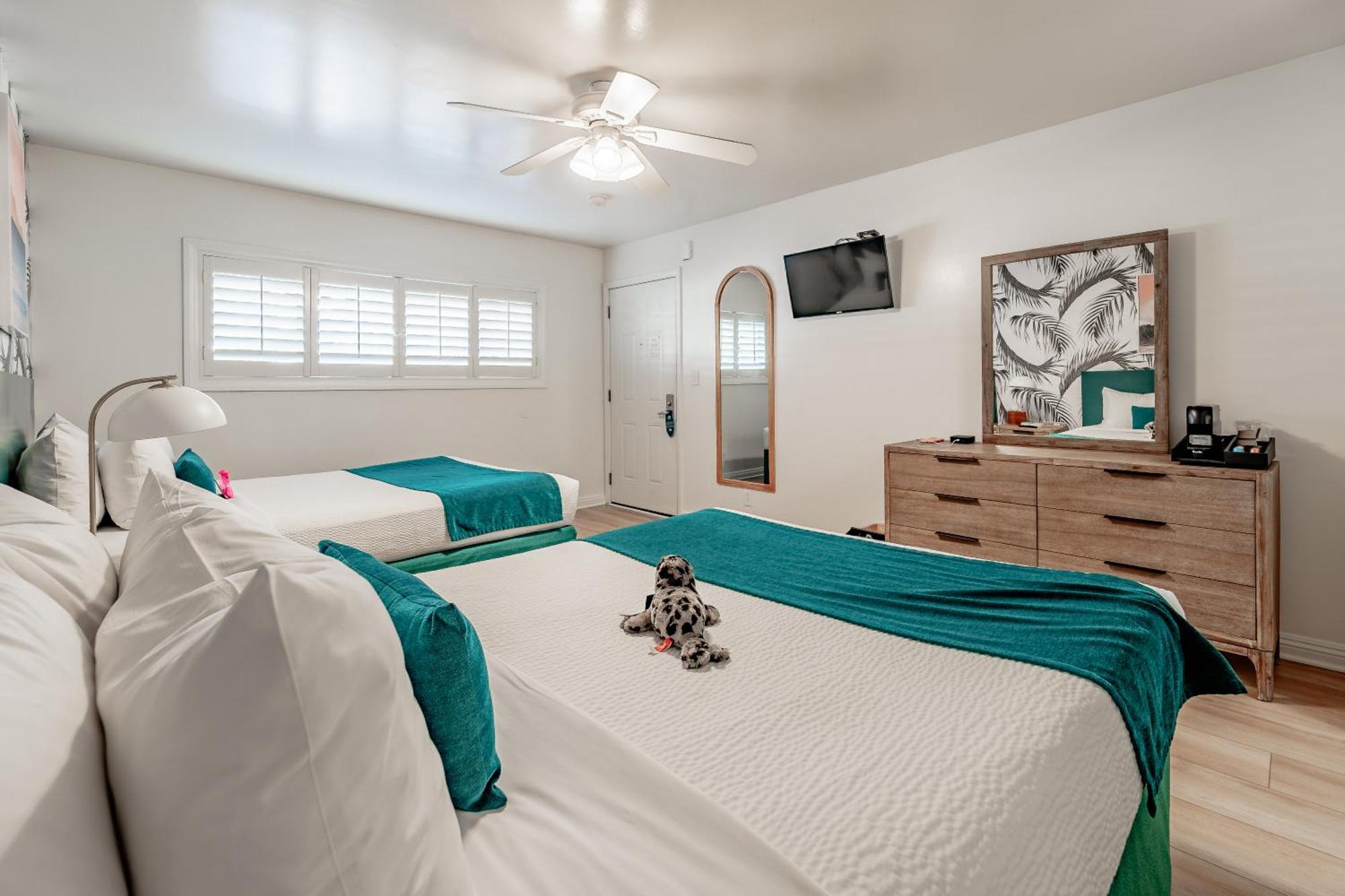 Double Room - Disability Access,1545820366:JPEG
